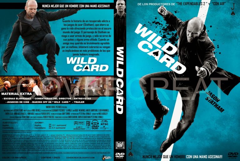 sinopsis film wild card 2015
