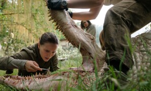 sinopsis film Annihilation 2018